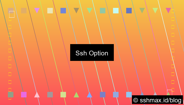 Ssh Option